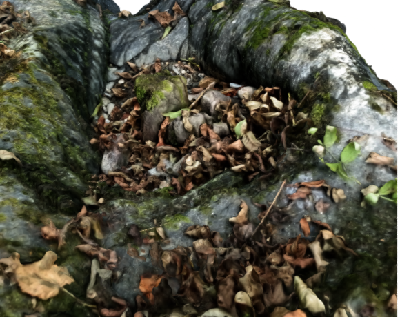 Photogrammétrie 3D : Marmite à graviers et sables aurifères avec un tronc d'arbre / 3D Photogrammetry : Gold-bearing gravels and sands pot with a tree trunk