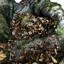 Photogrammétrie 3D : Marmite à graviers et sables aurifères avec un tronc d'arbre / 3D Photogrammetry : Gold-bearing gravels and sands pot with a tree trunk
