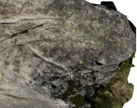 Réf : 20220820-11 - PHOTOGRAMMÉTRIE 3D - Coumebières, Aulus, Ariège - Bloc de granite avec une grosse cupule - inland - 20 aout 2022 - Vivien LAÏLLE