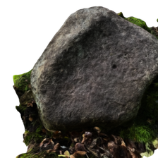 Réf : CLAUDE006 - Meule dormante en granit avec une petite cupule, Couserans, Ariège