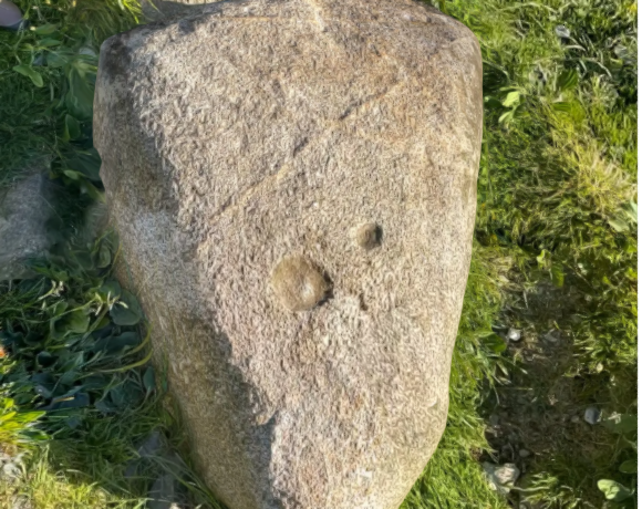 Réf : 20220701-03 - Bloc de granite avec 2 cupules anthropiques + une croix naturelle - Coumebières, Aulus, Ariège - Vivien LAÏLLE