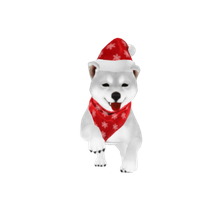 xmasshibas