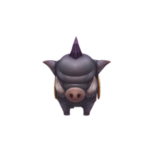 bandipig