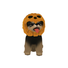 pumpkindog