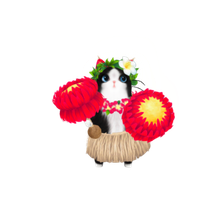 hulacat