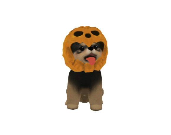 pumpkindog