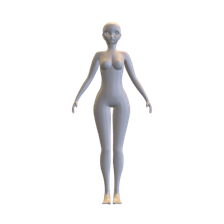 Female Character Body